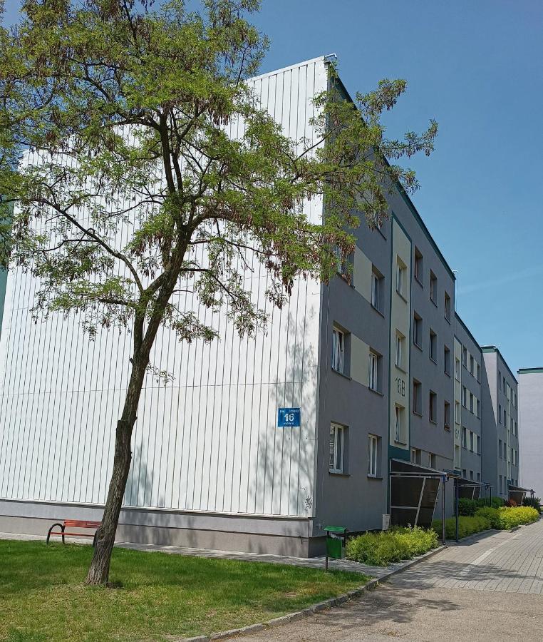 Bursztynowy Apartament Tarnowskie Góry Extérieur photo